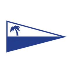 DSC logo